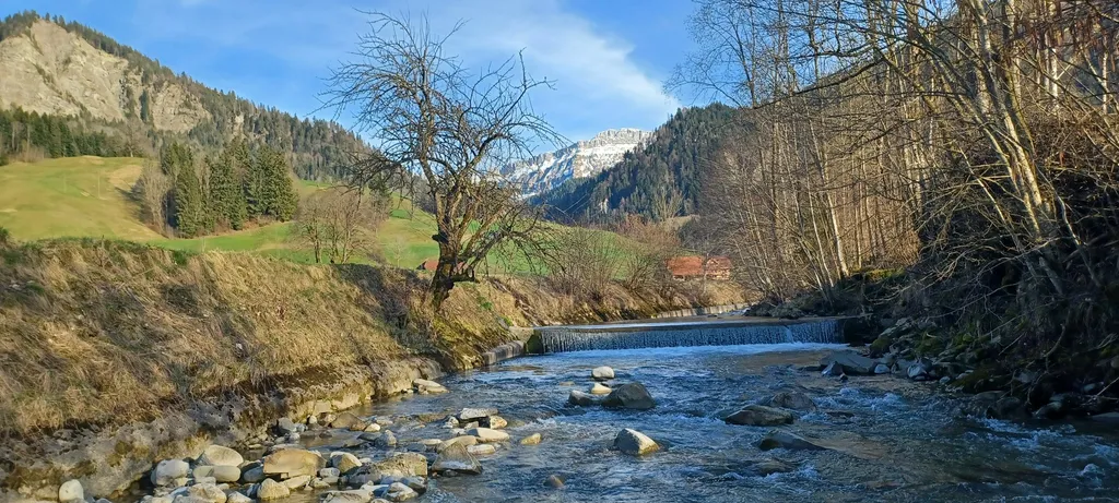 Zwischen Bach und Bauernhof.