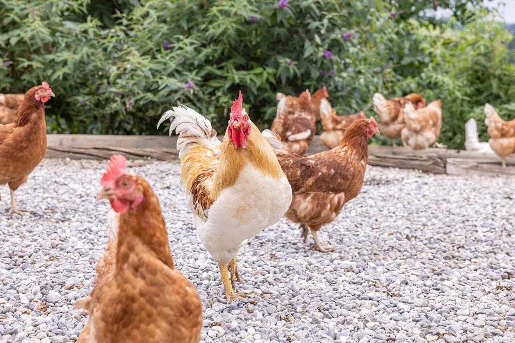 Idyllischer Stellplatz auf dem BioHof Weisserlen
