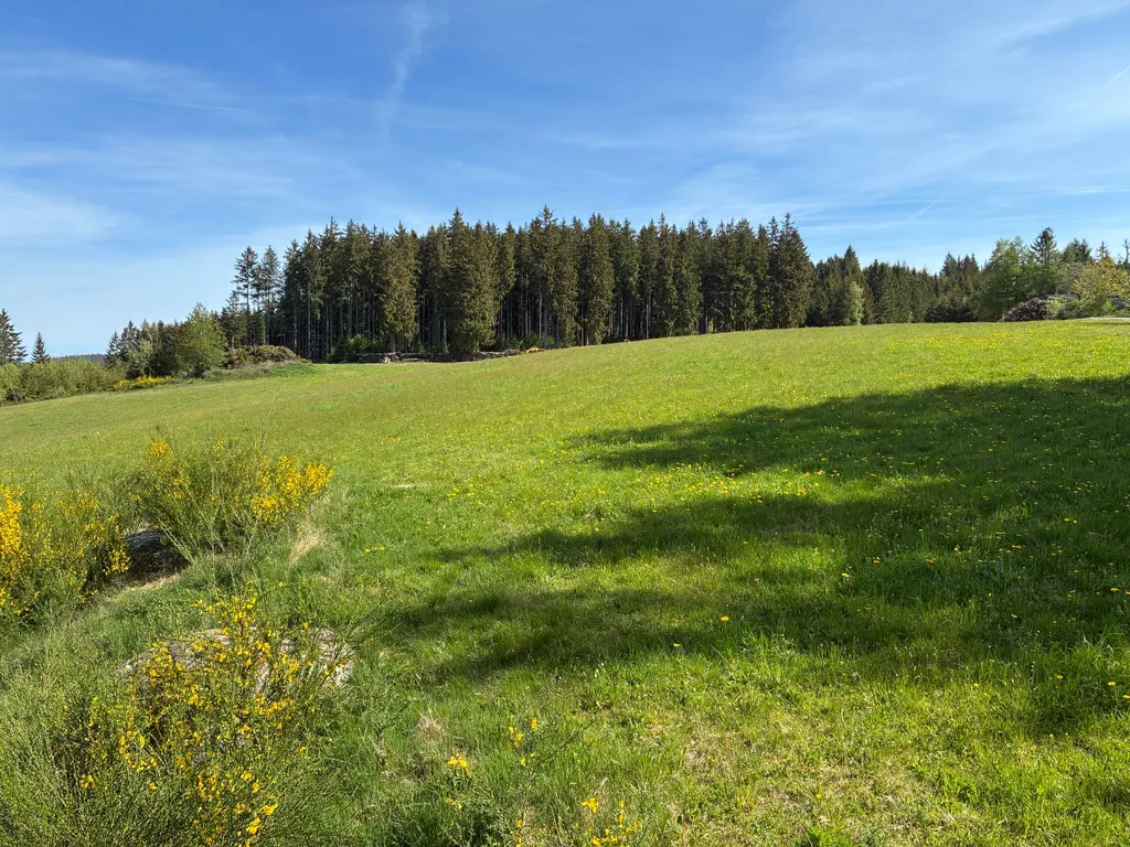 Alleine für Dich mit Schwarzwald-Panorama