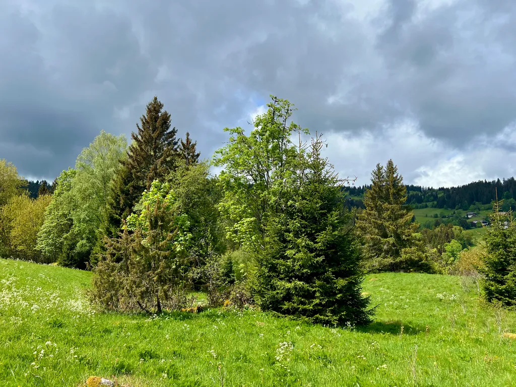 Bild von Thomas für den Spot 1426