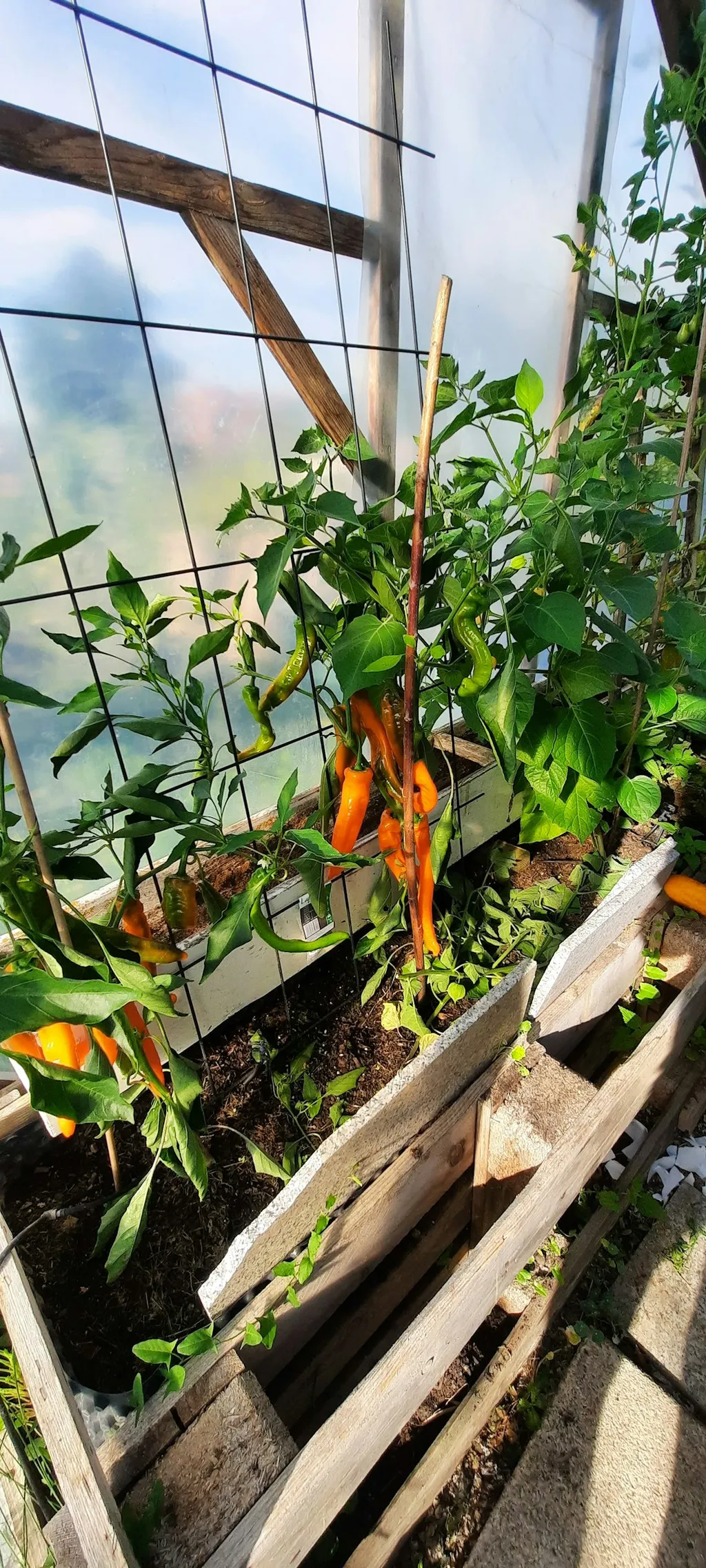 Zelten in der Natur, stadtnah