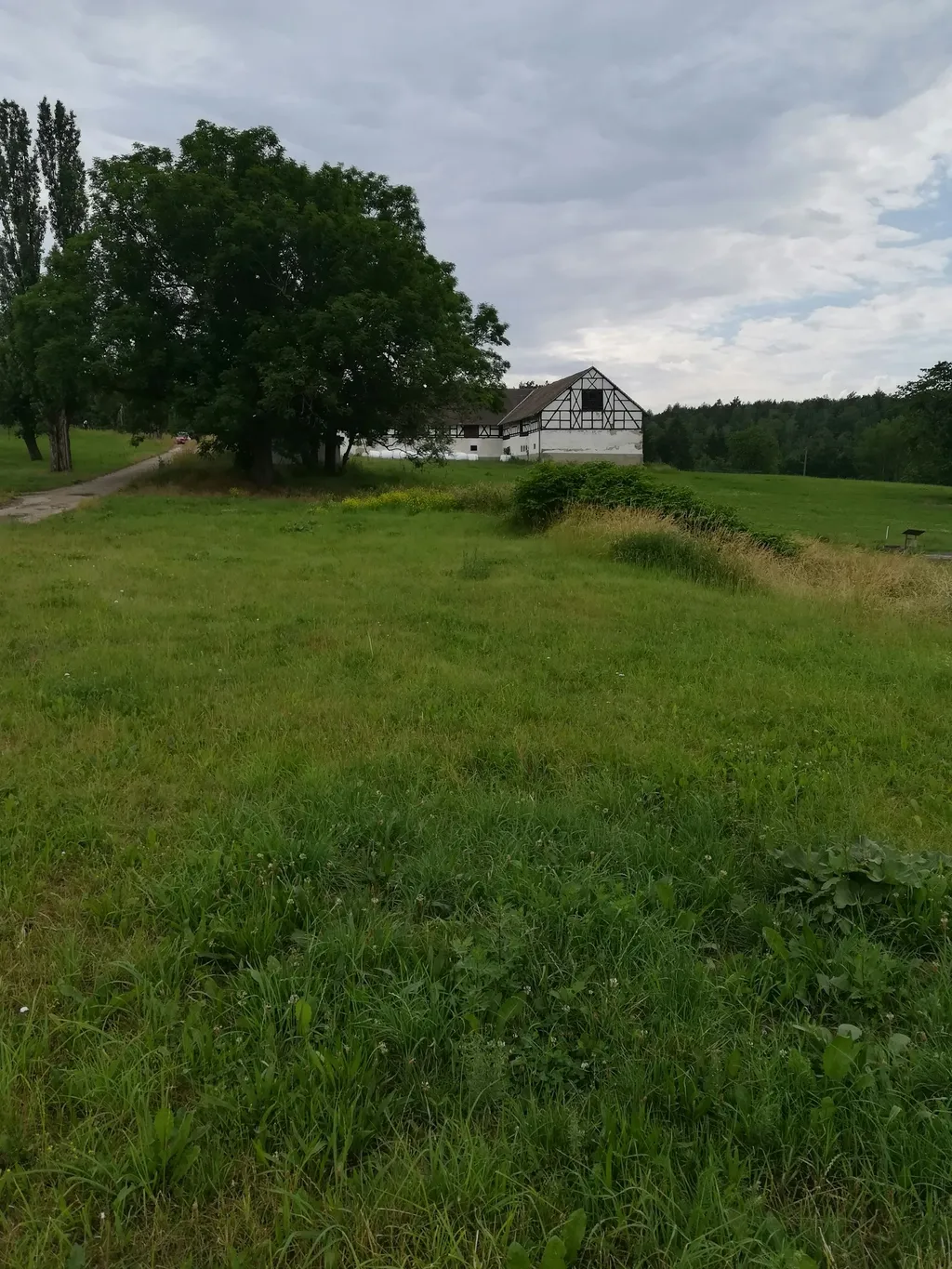 Stellplatz auf Reitanlage