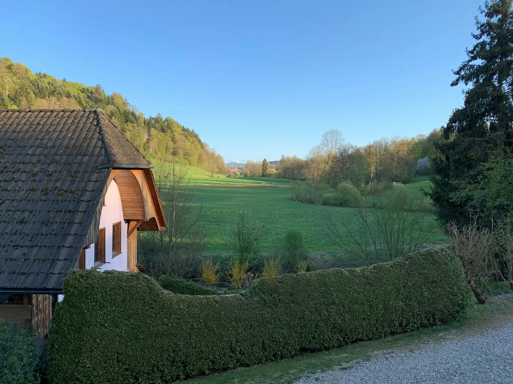 Kiltberg, "Chirschboum":