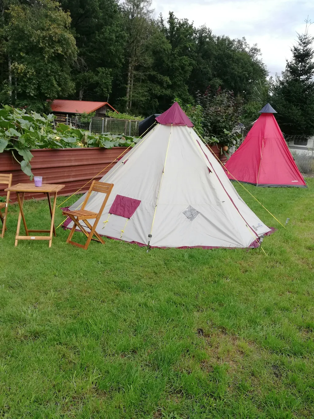 Hof, Tiere & pure Natur