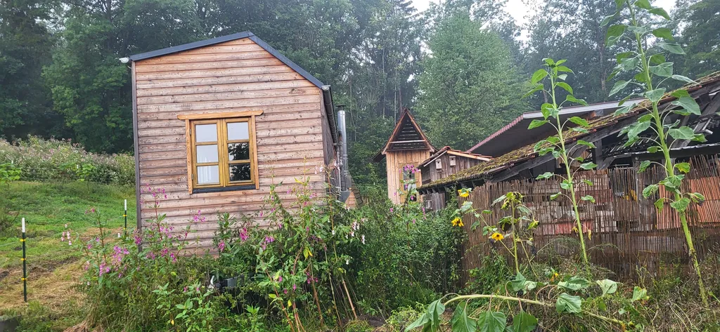 Image by Heike for spot 1479