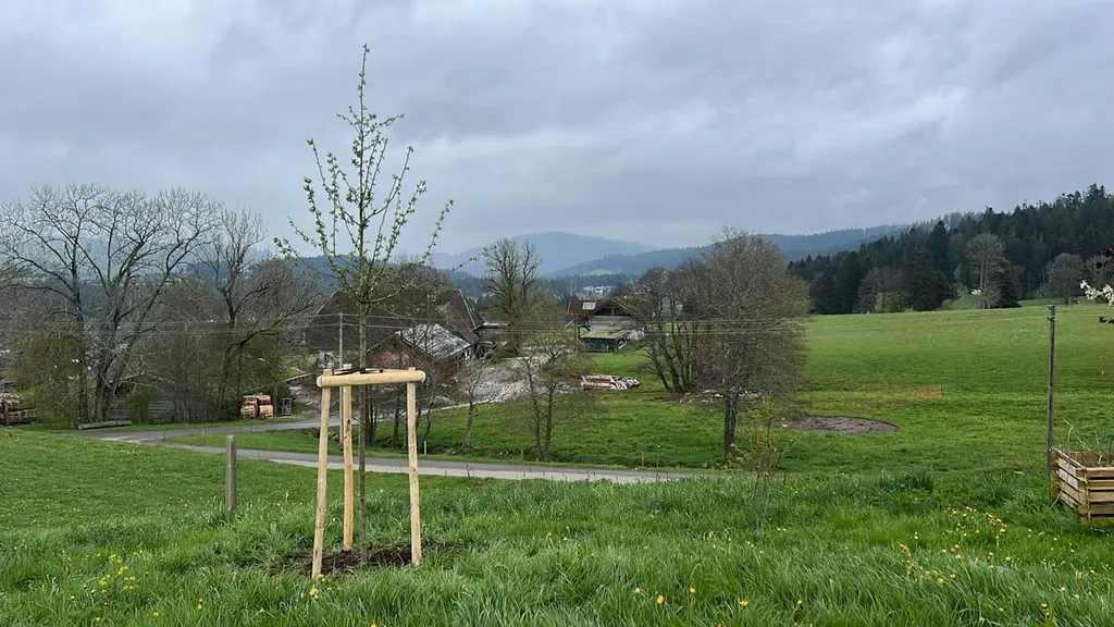 Zelten im Garten bei Hinterzarten