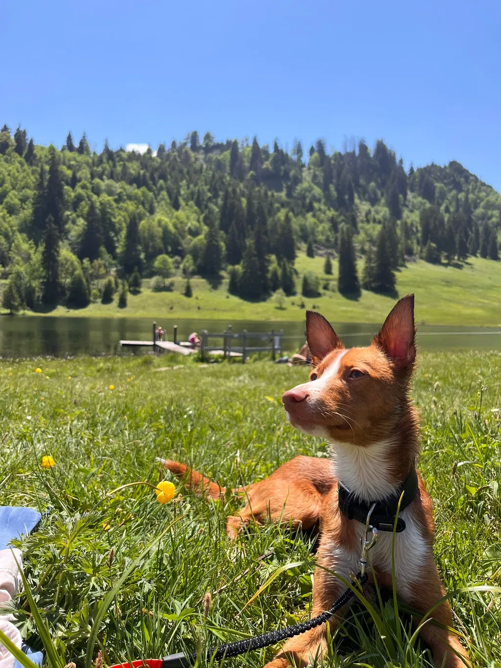 Bild von Melanie für den Spot 4431