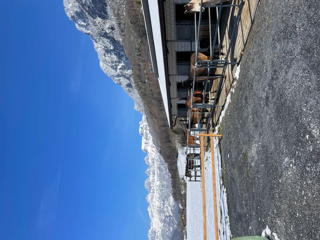 Einmal herrlich Schlafen auf dem Marchhof