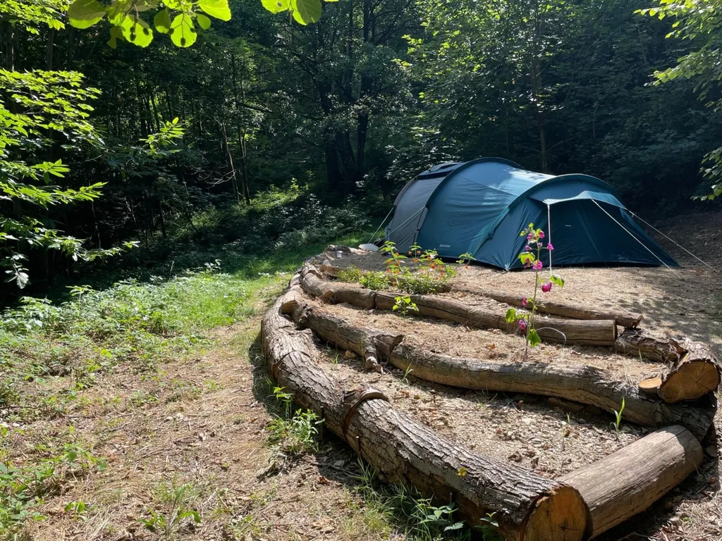 Private Mountain Campsite surrounded by the forest