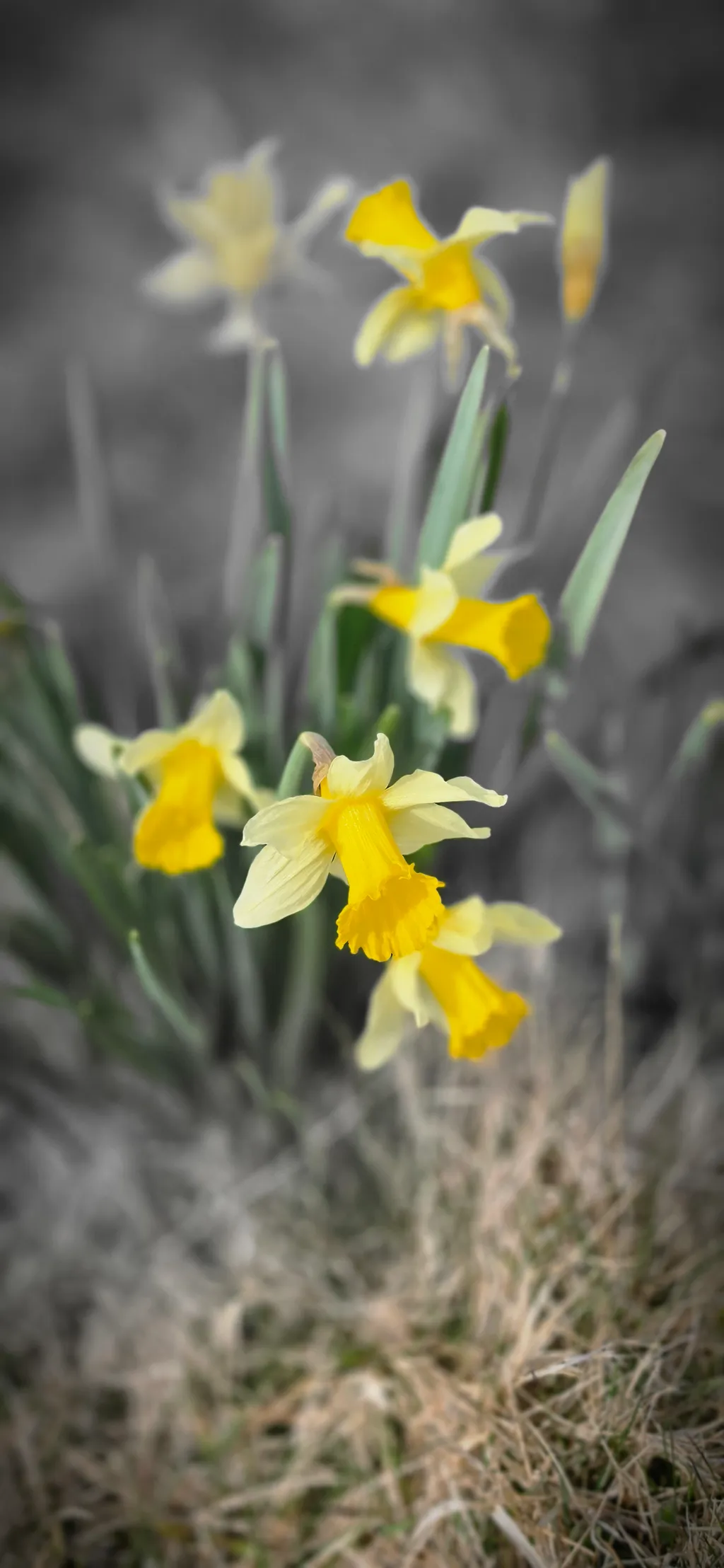 Bild von Thomas für den Spot 875