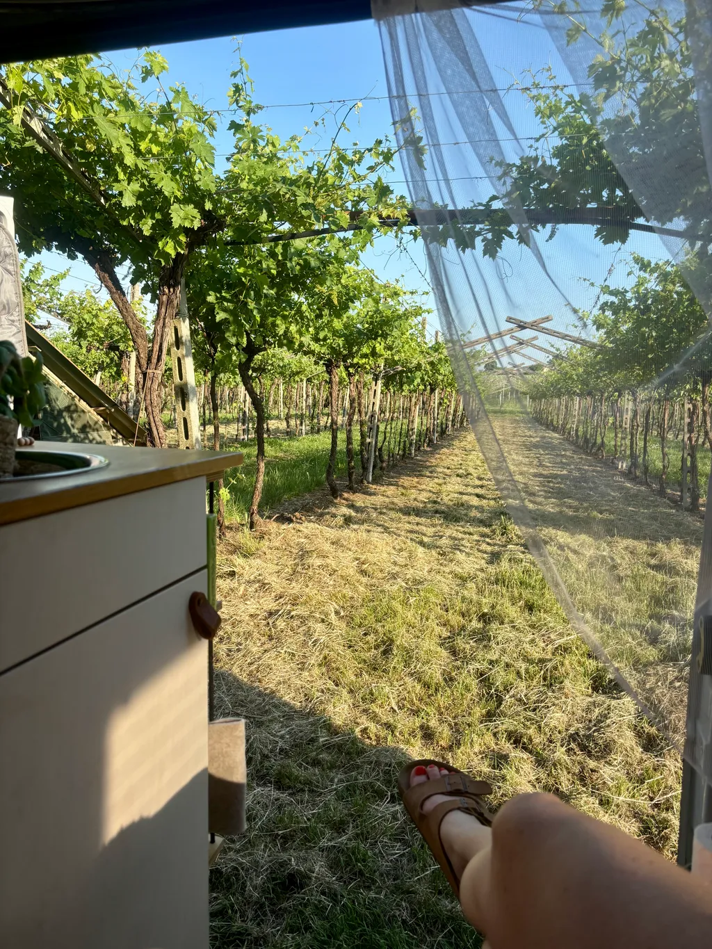 Bild von Ines für den Spot 1107