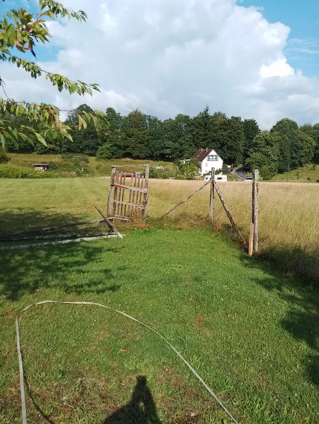 Bild von Sandro für den Spot 1305