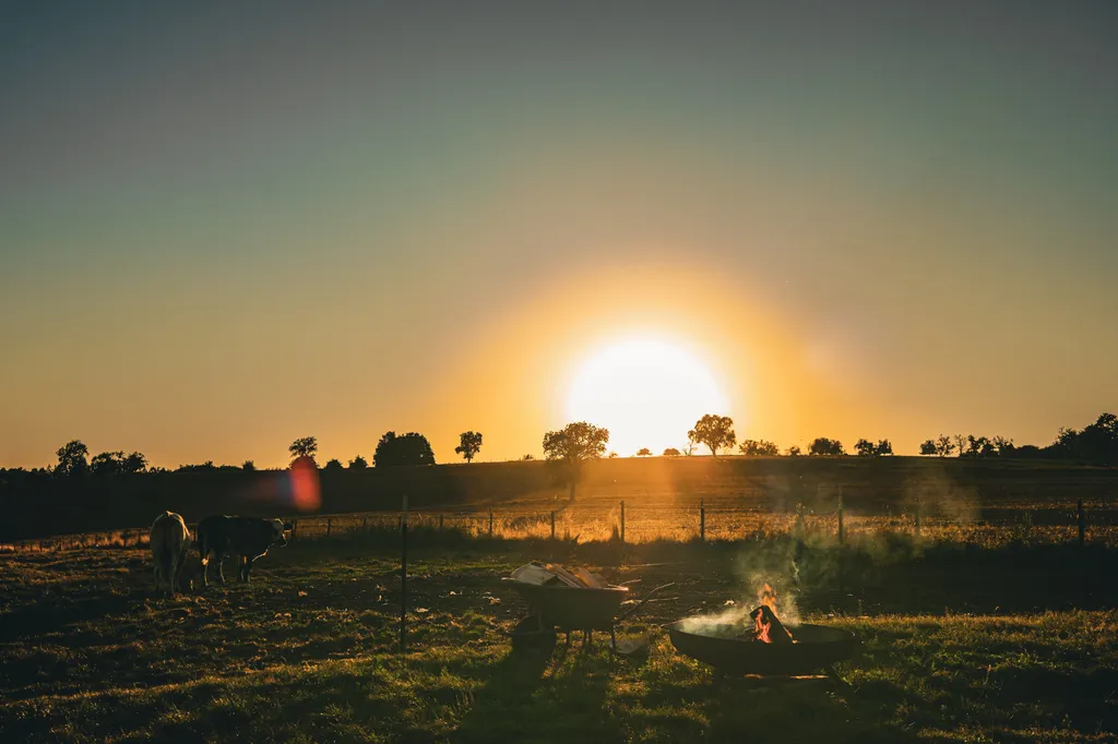 Image by Torsten for spot 4321