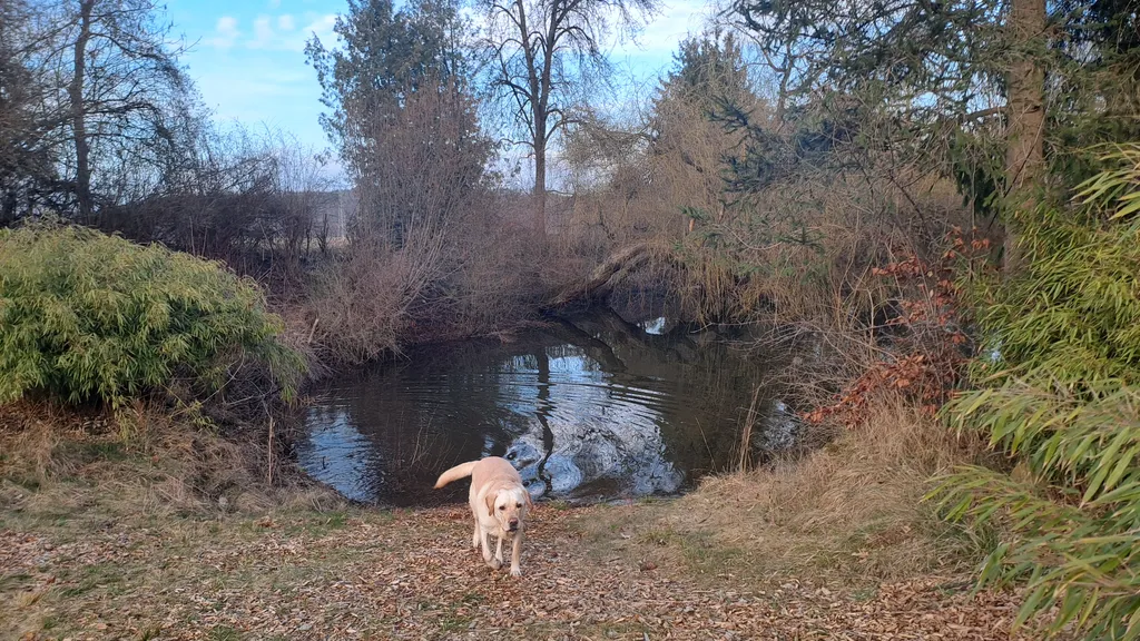 Bild von Patrik für den Spot 1573