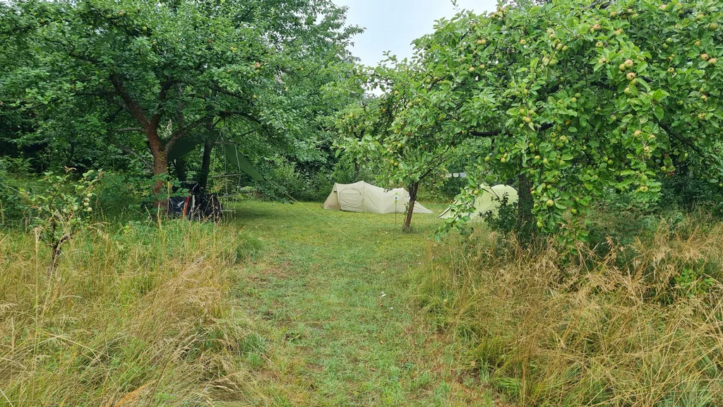 Zeltgäste auf gemähten Arealen mitten in der Streuobstwiese