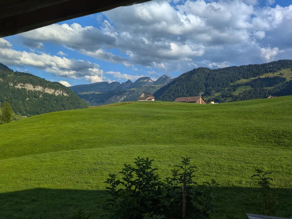 Bild von Willi für den Spot 4575
