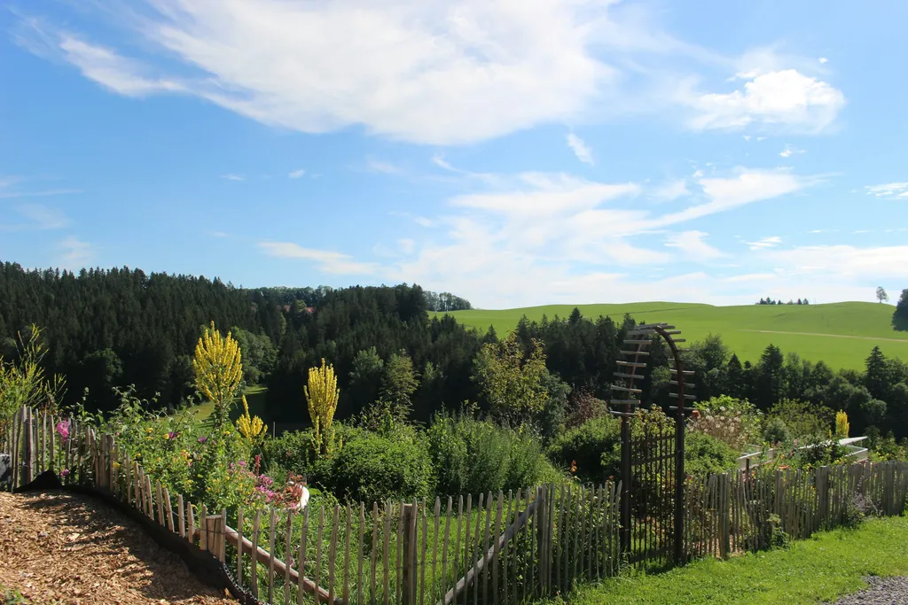Natur-Camp am Badeteich