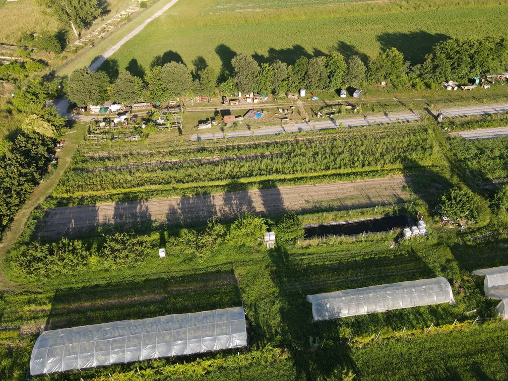 Parking on organic farmland