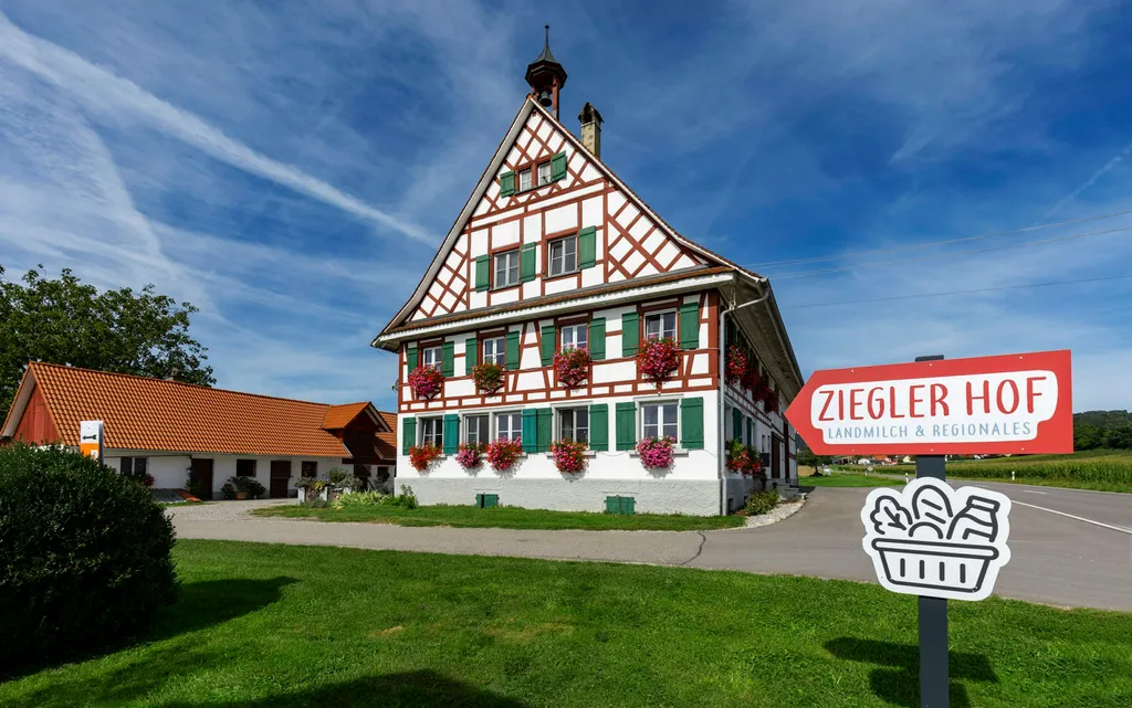 Grüne Wiese mit Bergsicht