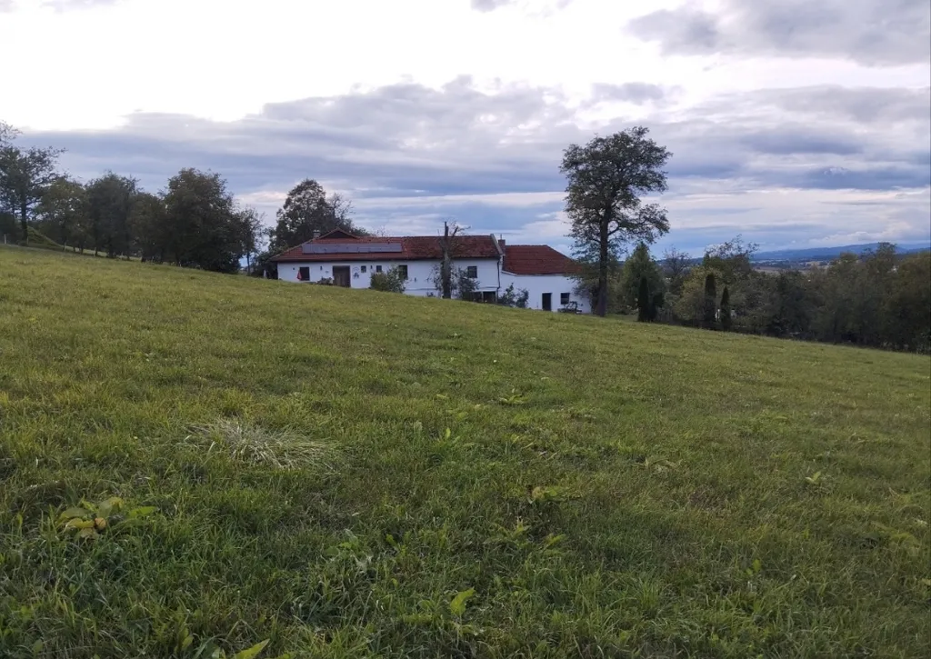 Vierkanter in Einzellage