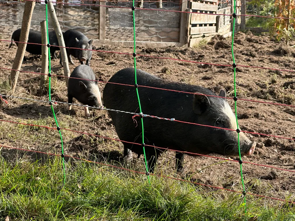 Bild von Stefan für den Spot 4454