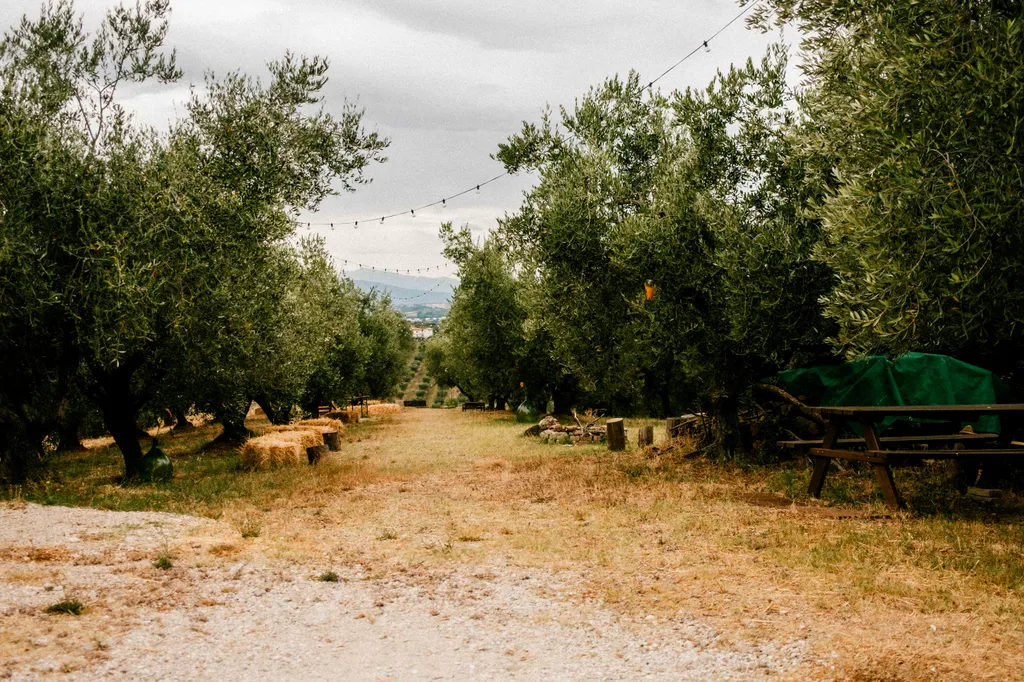 Image by Samuel for spot 651