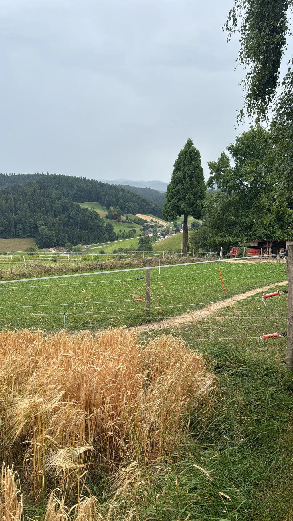 Bild von Dana für den Spot 3728