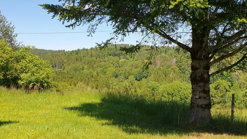 Stellplatz mit Weitblick