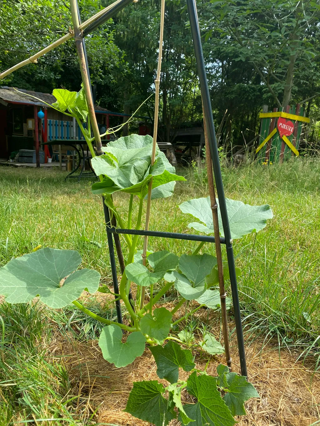Gemütliche Kaminhütte