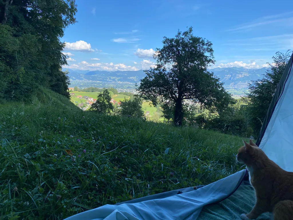 Bild von Michaela für den Spot 475