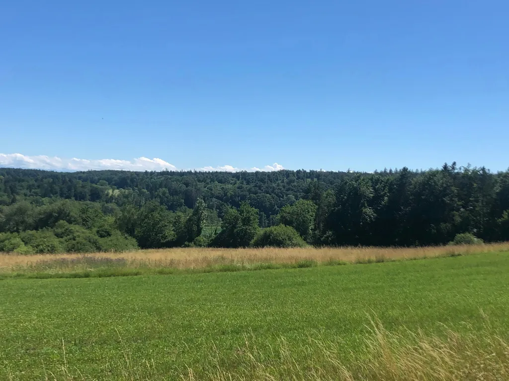 Zelt- und Stellplätze im Grünen