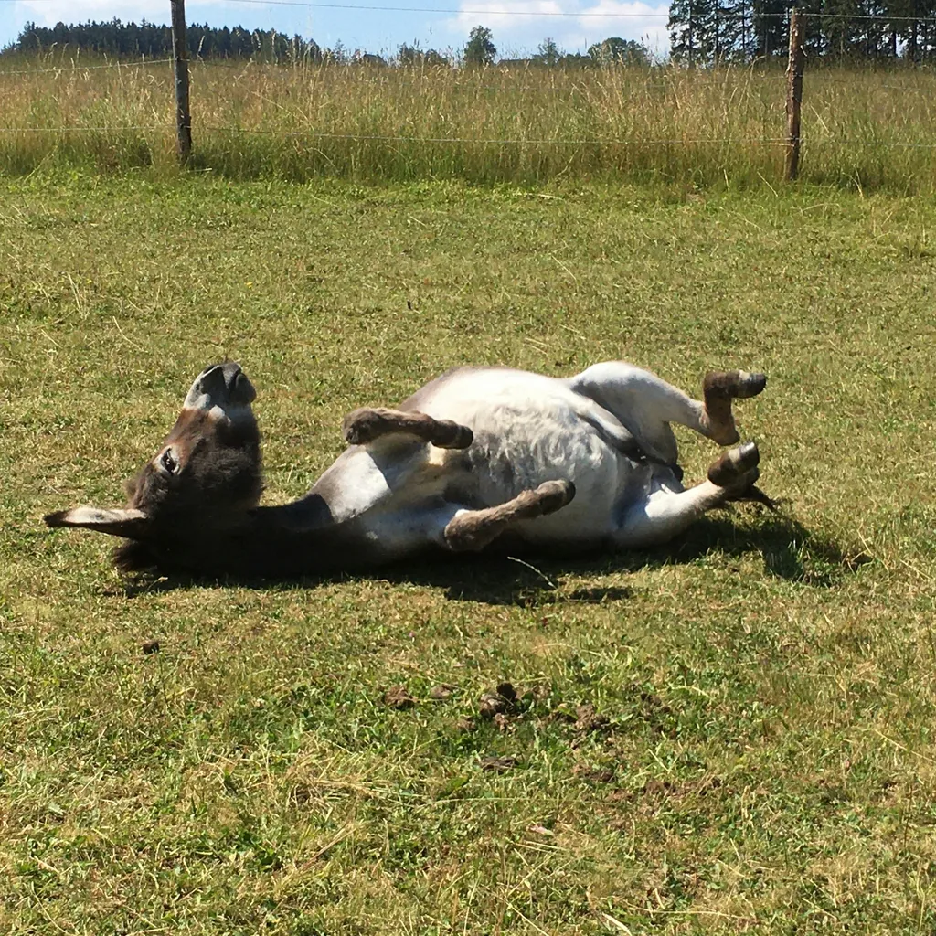 Profilbild von Alexandra