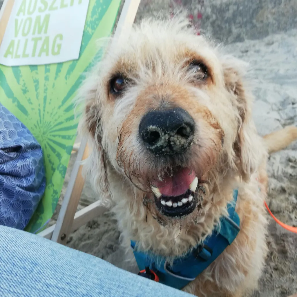 Profilbild von Heike