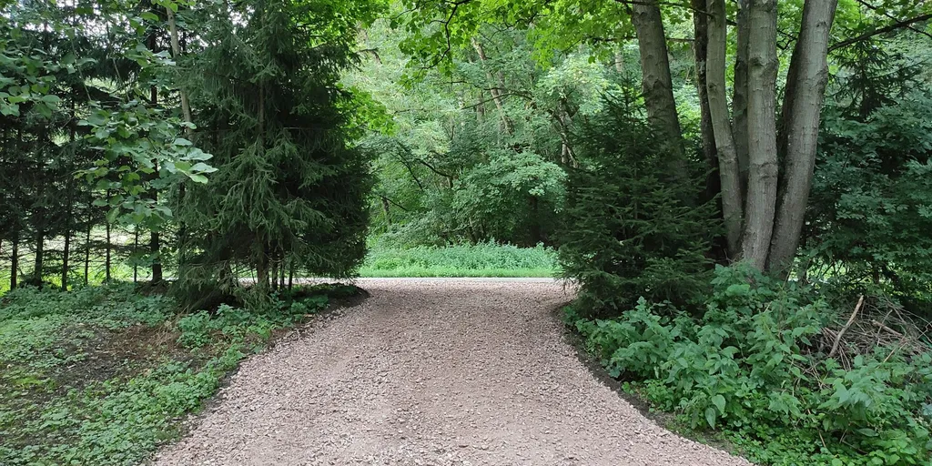 Idyllische Wiese am Bach