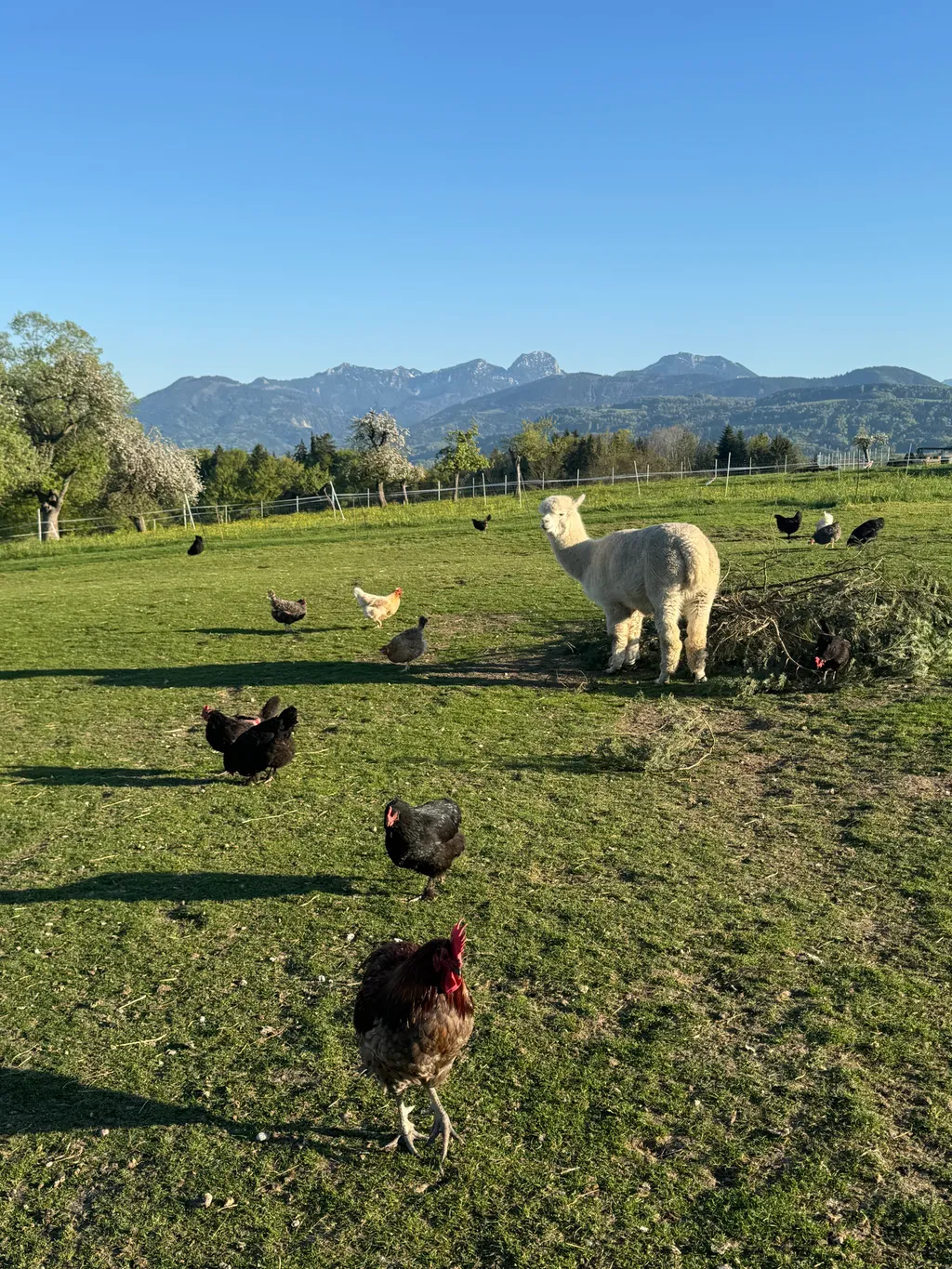 Bild von Thomas für den Spot 4109