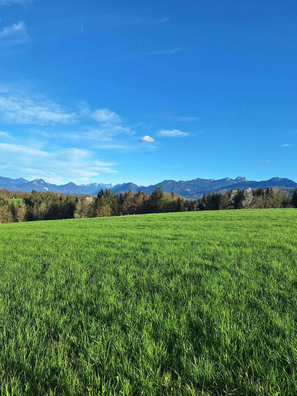 Bergblick Stellplatz mit Alpakas