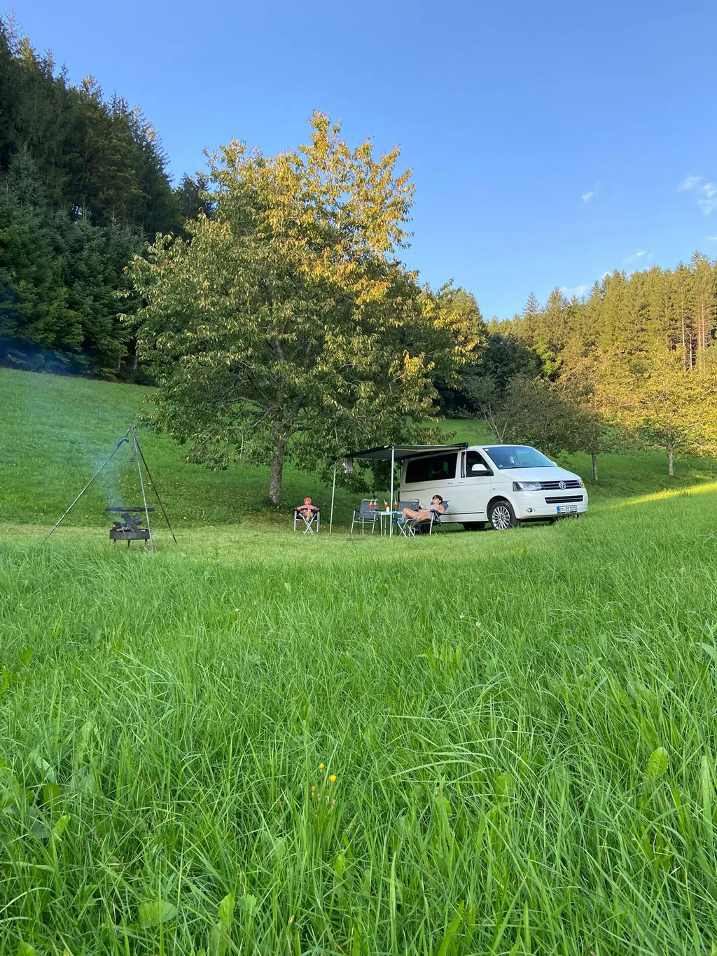 Grüne Oase - zentral gelegen.