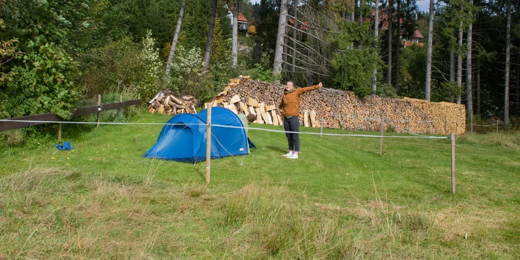Plätzchen an der Sommerweide