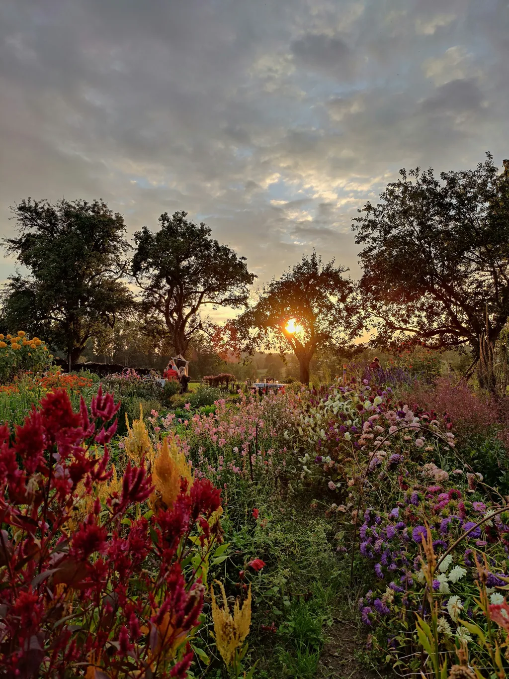 Camp für Gartenliebhaber