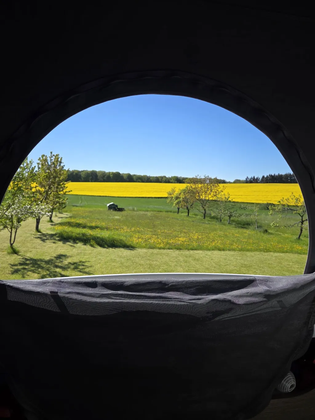 Naturidylle im Hunsrück nahe Kelten&Traumschleifen