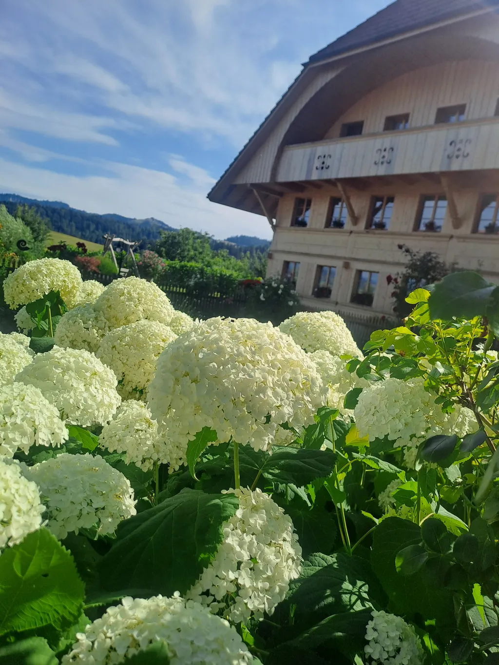 Bild von Sascha für den Spot 268