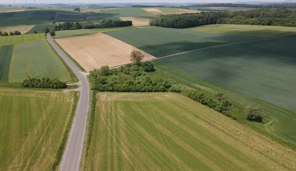 Wilde Ruhe auf naturnaher Obstwiese