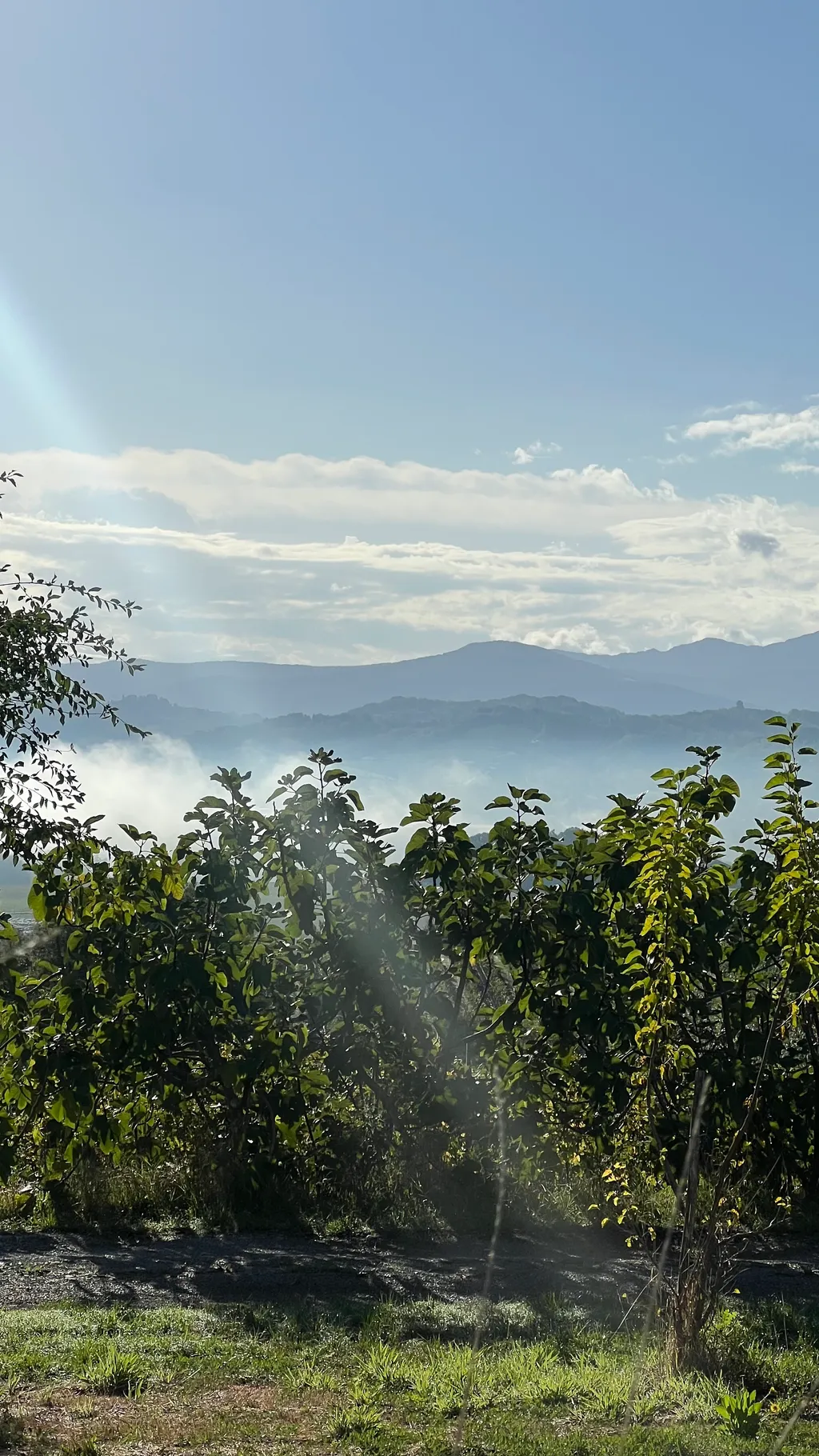 Bild von Andrè für den Spot 716