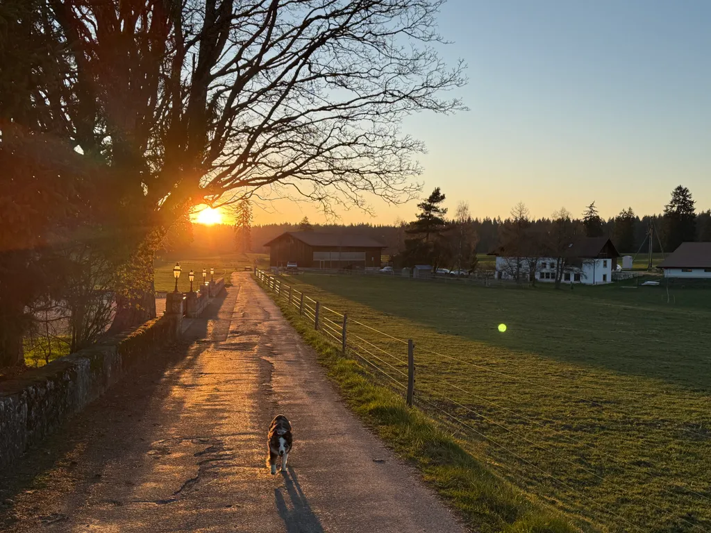 Bild von Kari für den Spot 875