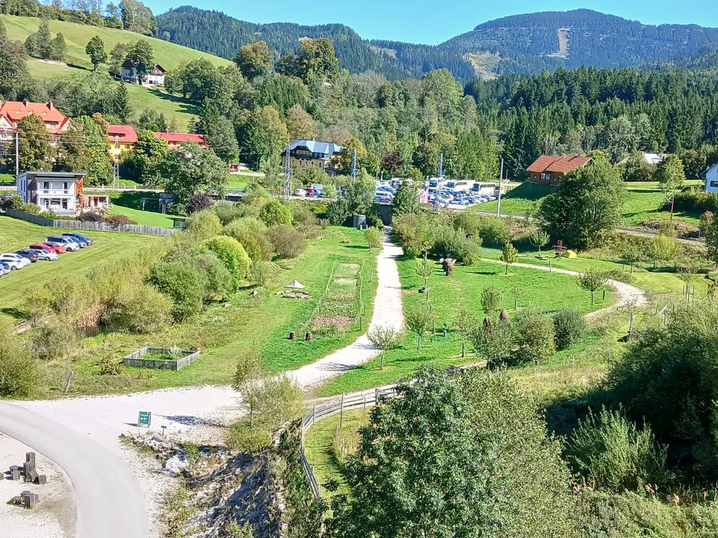 Freiflächen rund um die Ötscherbasis (Grillplätze, Feuerstelle)