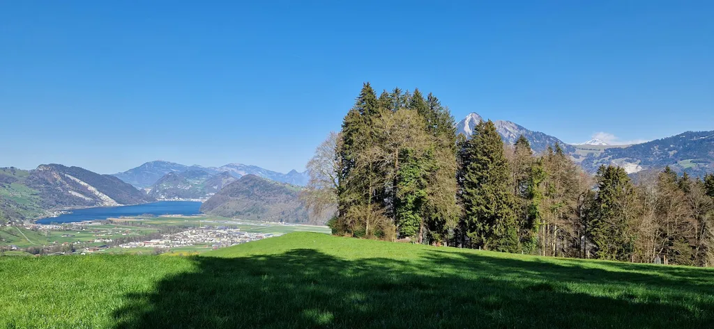 Neigers Waldplätzli