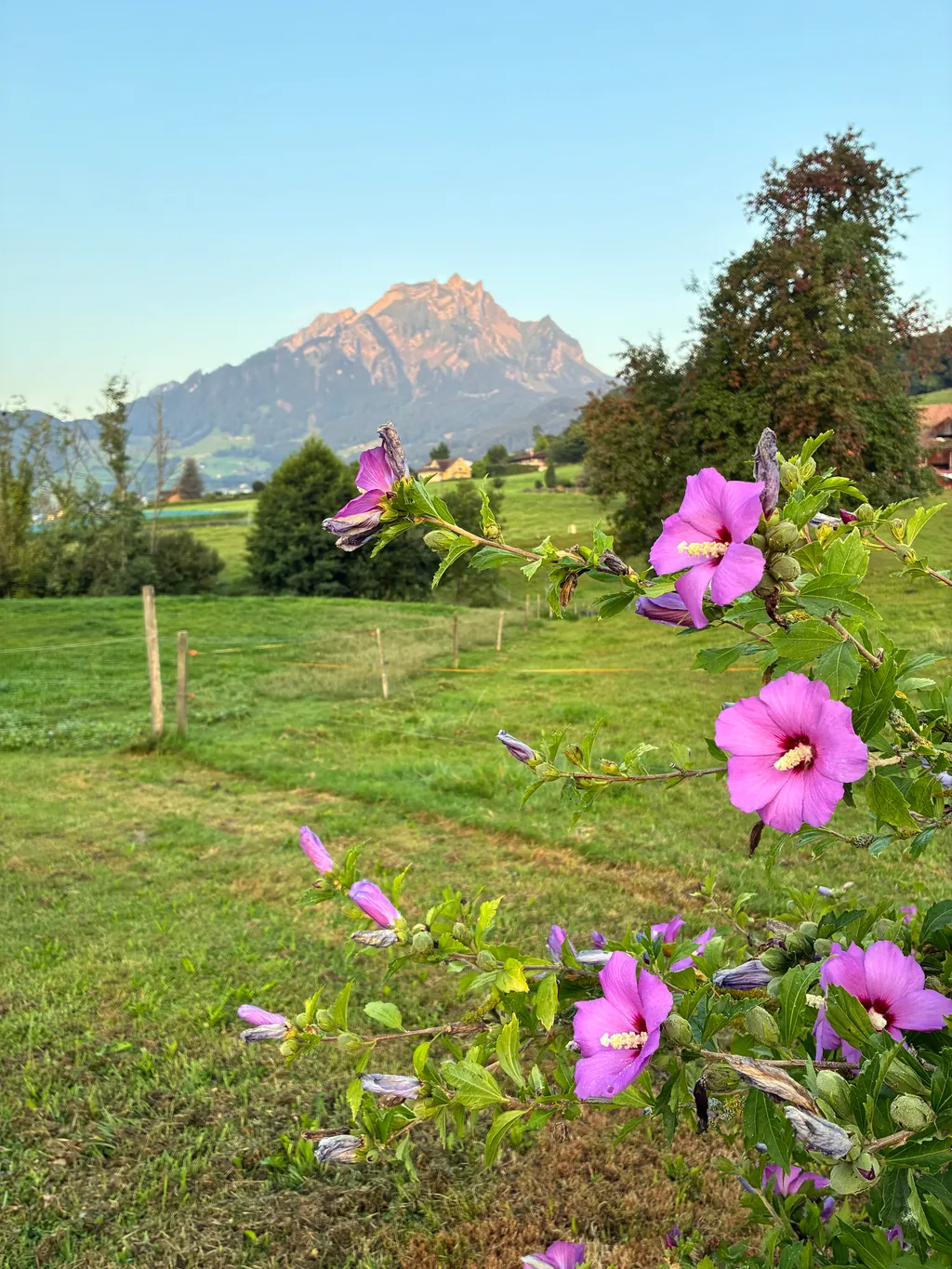 Bild von Francesco für den Spot 131