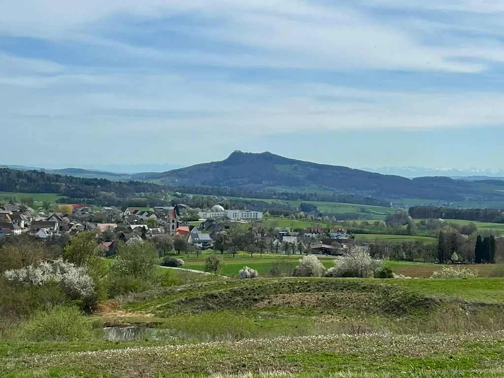 Wiese mit Fernblick in die Alpen