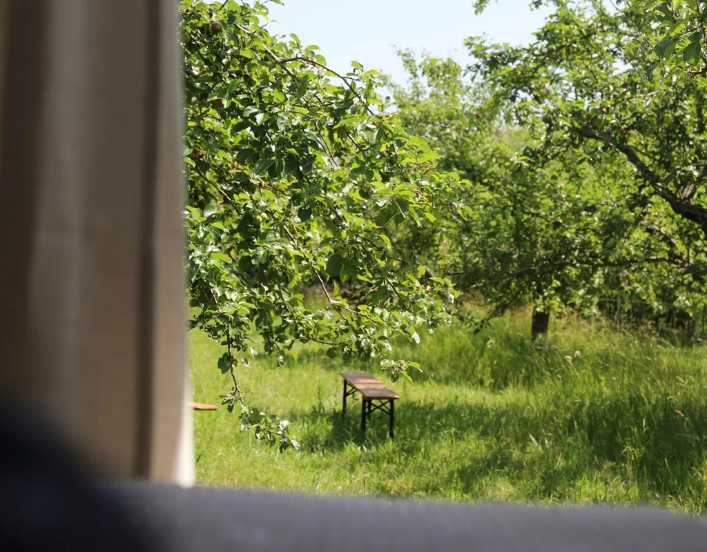 Wilde Ruhe auf naturnaher Obstwiese