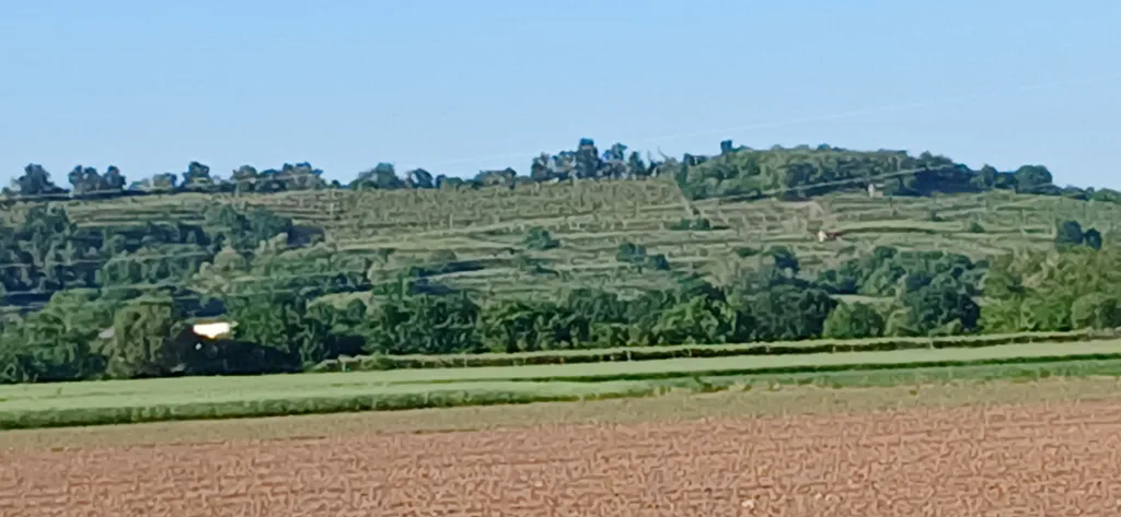 Un soggiorno nelle vigne